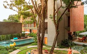 พราวภูฟ้า เมืองเชียงใหม่